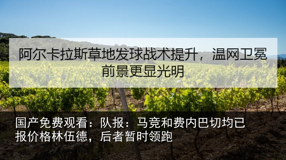 国产免费观看:队报相关情况已报相关情况时领跑