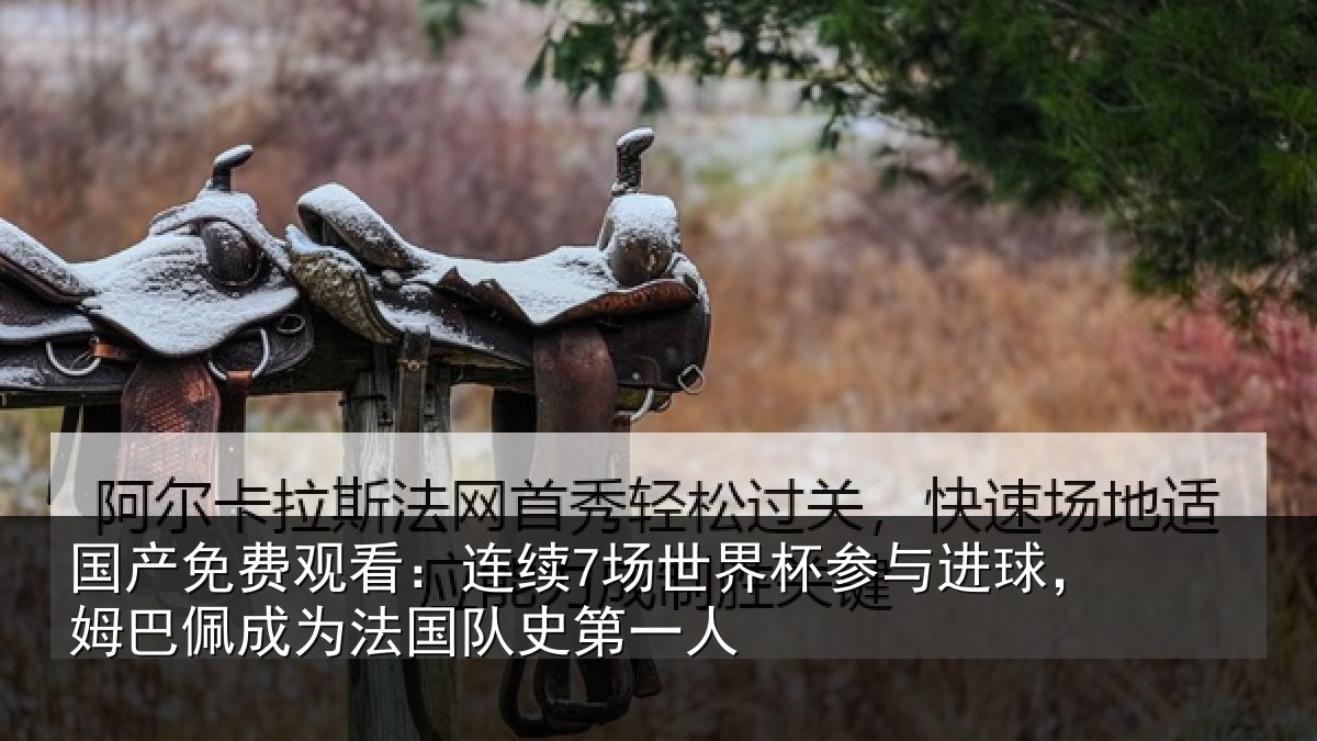 国产免费观看：连续7场世界杯参与进球，姆巴佩成为法国队史第一人