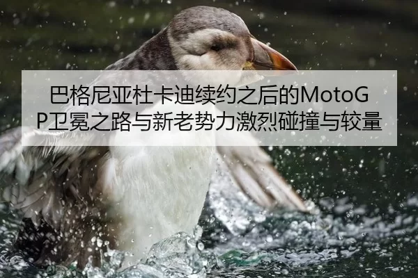 巴格尼亚杜卡迪续约之后的MotoGP卫冕之路与新老势力激烈碰撞与较量